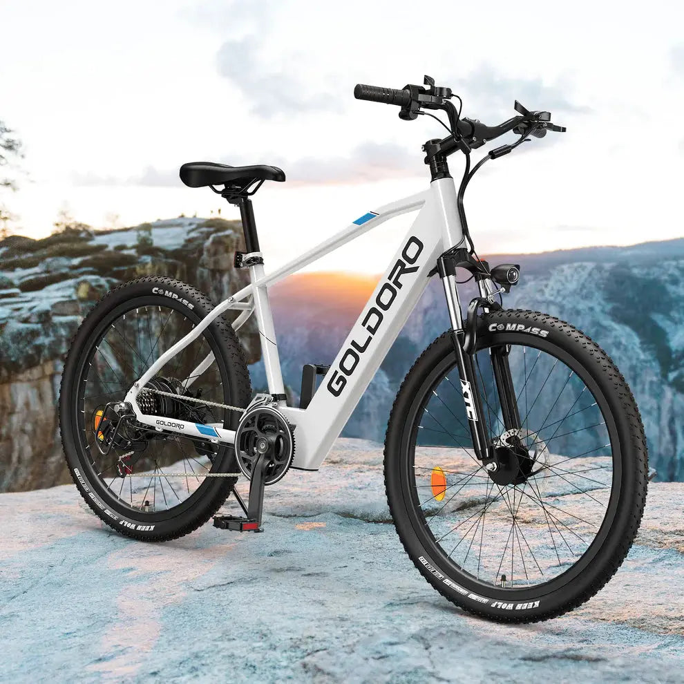 Goldoro Electric Bike 26" X7 Aluminum Alloy Mountain Bike, 350W/36V, MAX 17.4 MPH, 21 speed - ProMounts
