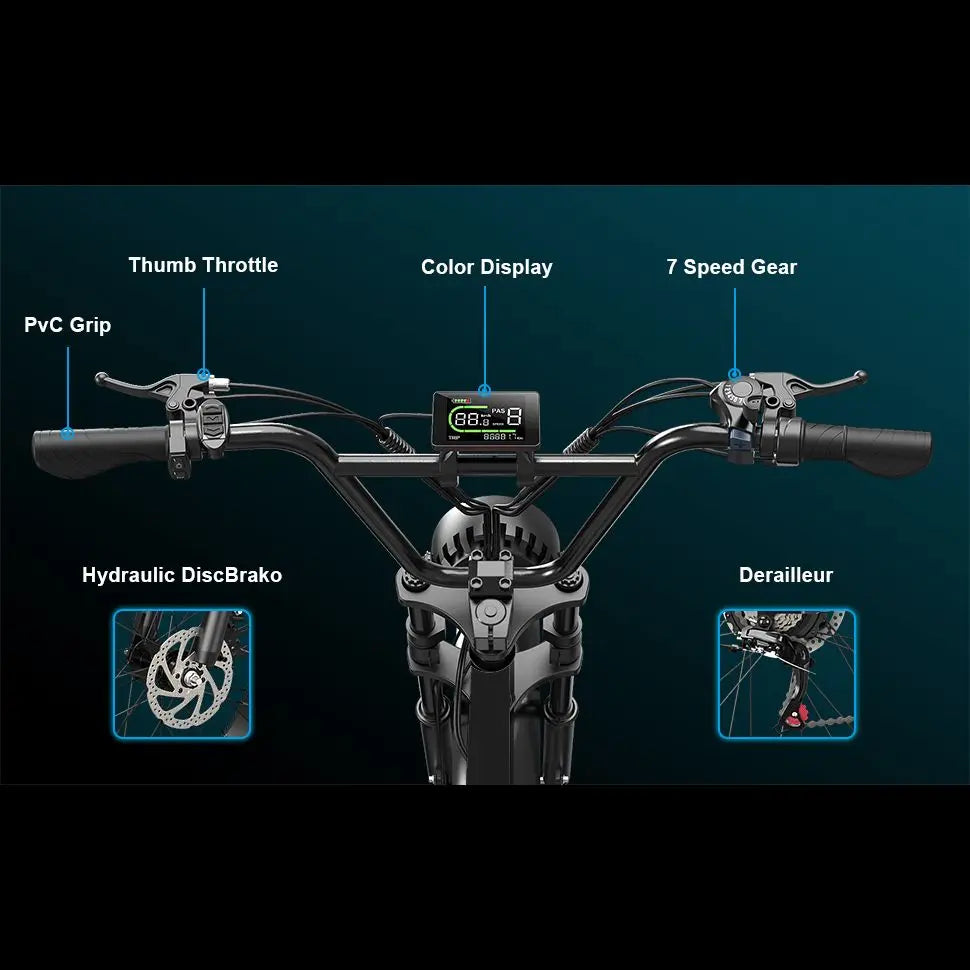 Goldoro Electric Bike for Adults 500W, 20 Inch Fat Tire Ebike 31 MPH & 50-60 Miles Commuter E Bike, 48V 20AH Electric Bicycle (Black) - ProMounts