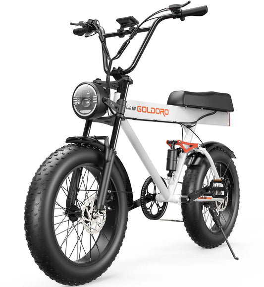 Goldoro Electric Bike for Adults 500W, 20 Inch Fat Tire Ebike 31 MPH & 50-60 Miles Commuter E Bike, 48V 20AH Electric Bicycle (White) - ProMounts